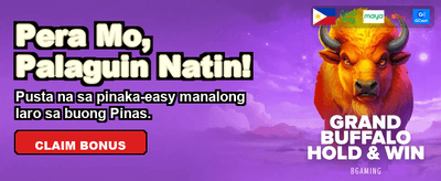 Fast Payouts, Big Wins! banner